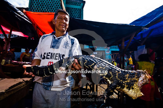 A stall salesman selling a dead Black Caiman for meat in a Amazon River town black market. Belen Market, Iquitos, Amazon Basin, Loreto Region, Maynas Province, Peru.
