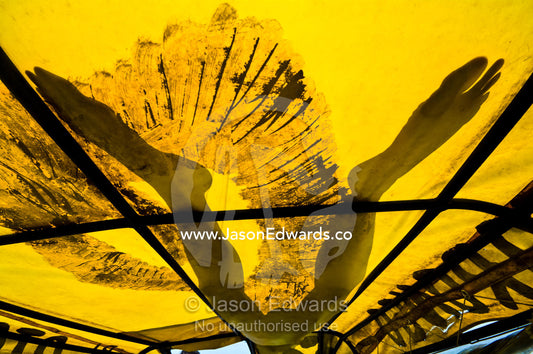 The silhouetted legs of a man sleeping on the tarpaulin roof of an Amazon River taxi. Amazon River, Amazon Basin, Loreto Region, Maynas Province, Peru.