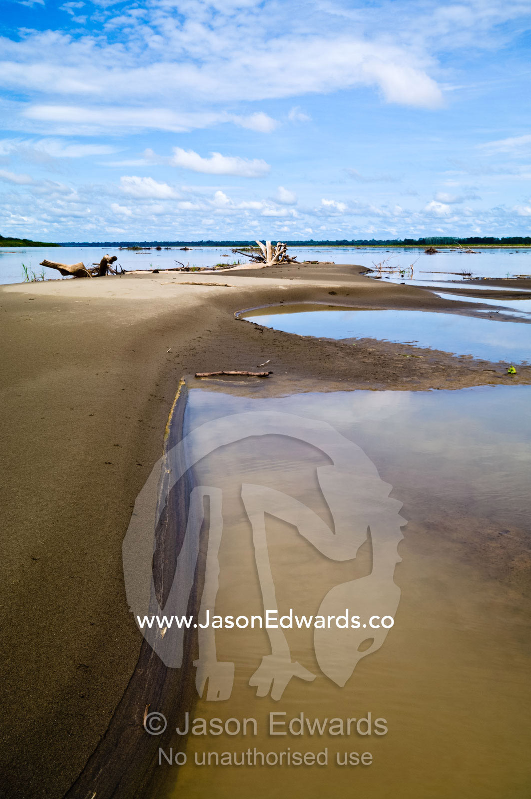 Pools of stagnant water along the shoreline of the Amazon River during the dry season drought. Amazon River, Rio Amazonas, Amazon Basin, Loreto Region, Maynas Province, Peru.