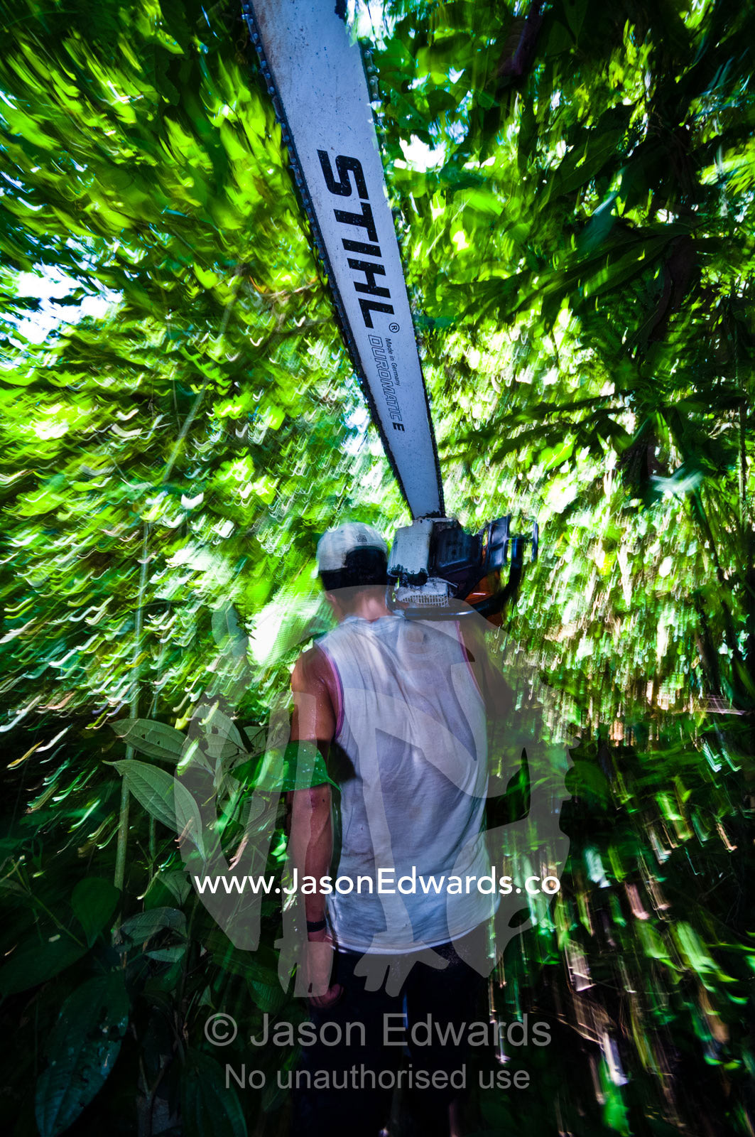 A laborer carrying a chainsaw through the Amazon rainforest after cutting down trees. Amazon Basin, Loreto Region, Maynas Province, Peru.