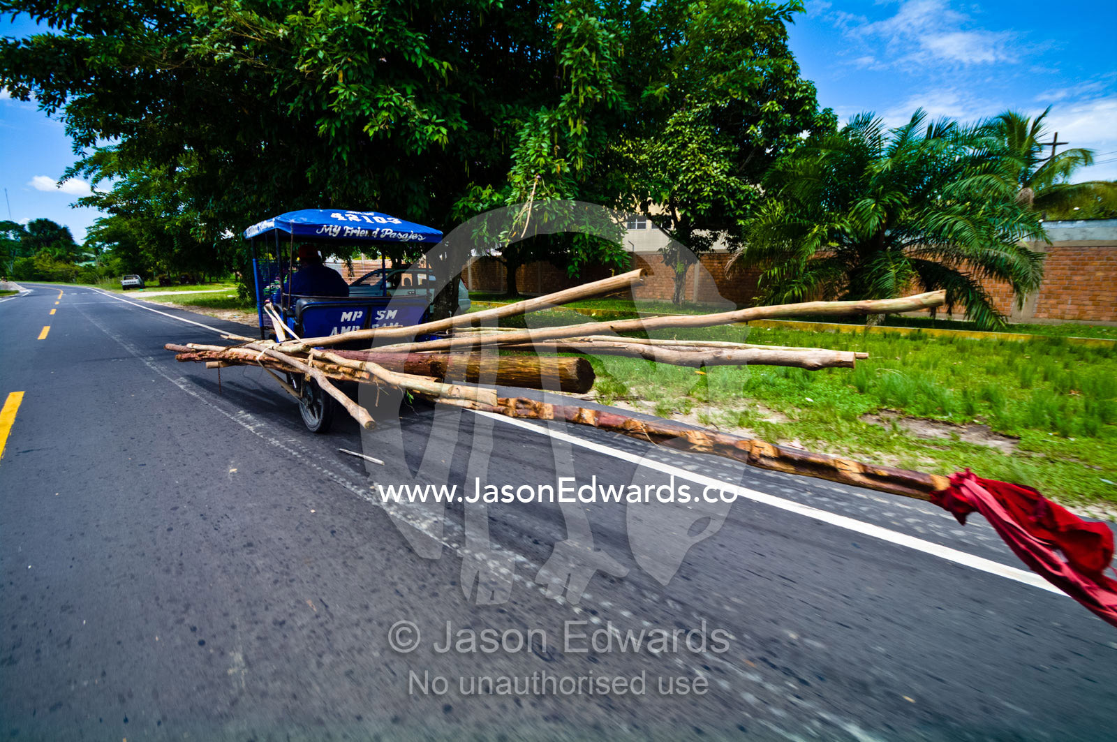 A red flag behind a rickshaw carrying timber poles from a mill and lumber yard for construction. Iquitos, Amazon Basin, Loreto Region, Maynas Province, Peru.