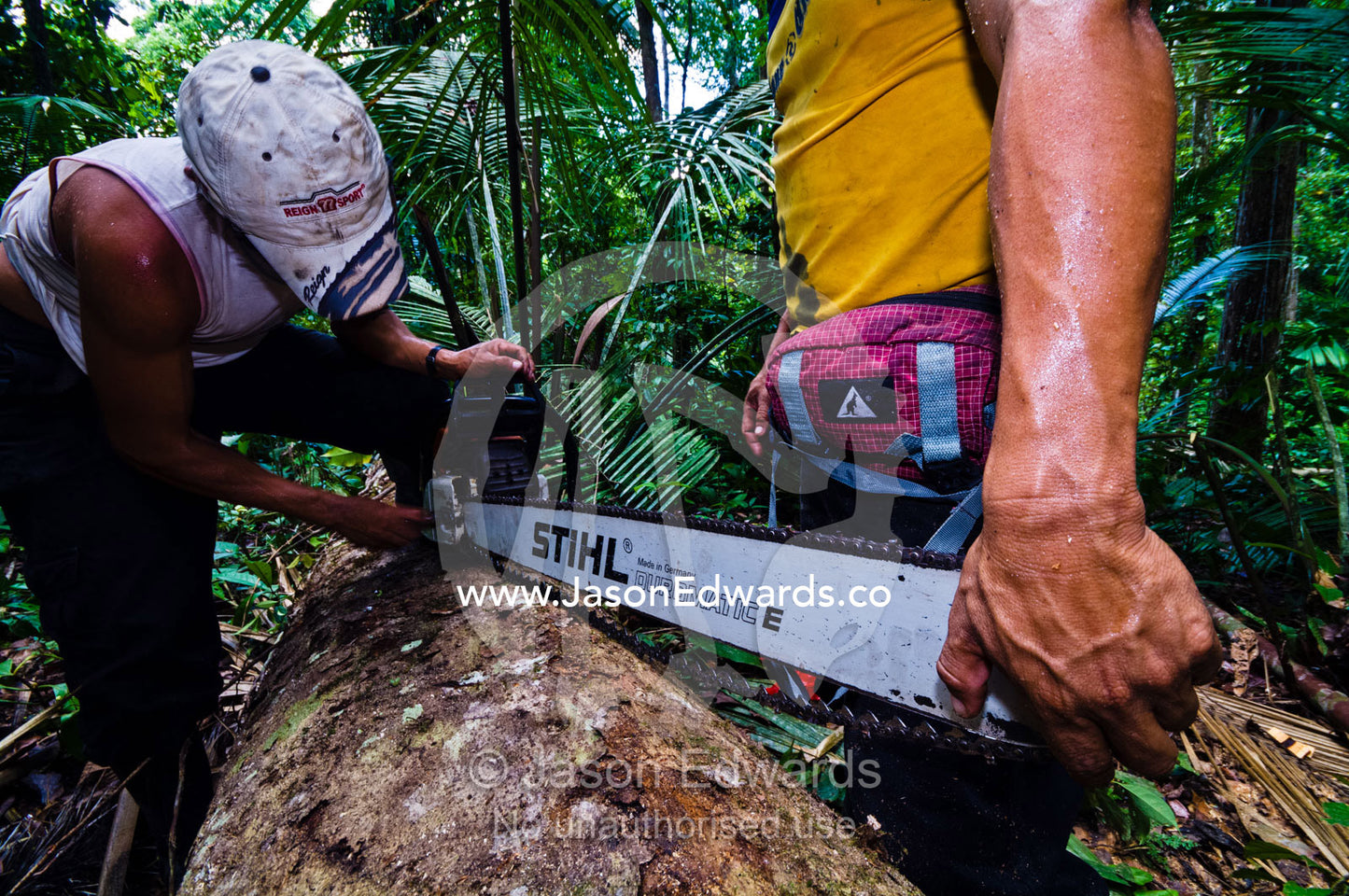 Laborers changing a blunt blade on a chainsaw after cutting down trees in the Amazon rainforest. Amazon Basin, Loreto Region, Maynas Province, Peru.