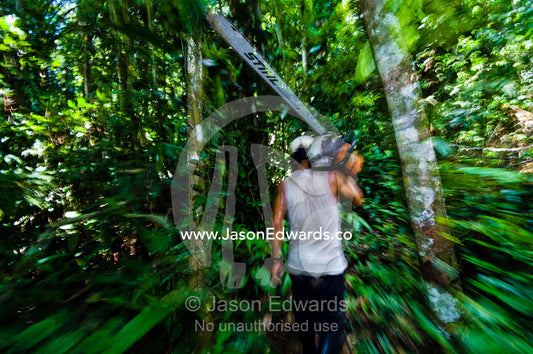 A laborer carrying a chainsaw through the Amazon rainforest after cutting down trees. Amazon Basin, Loreto Region, Maynas Province, Peru.