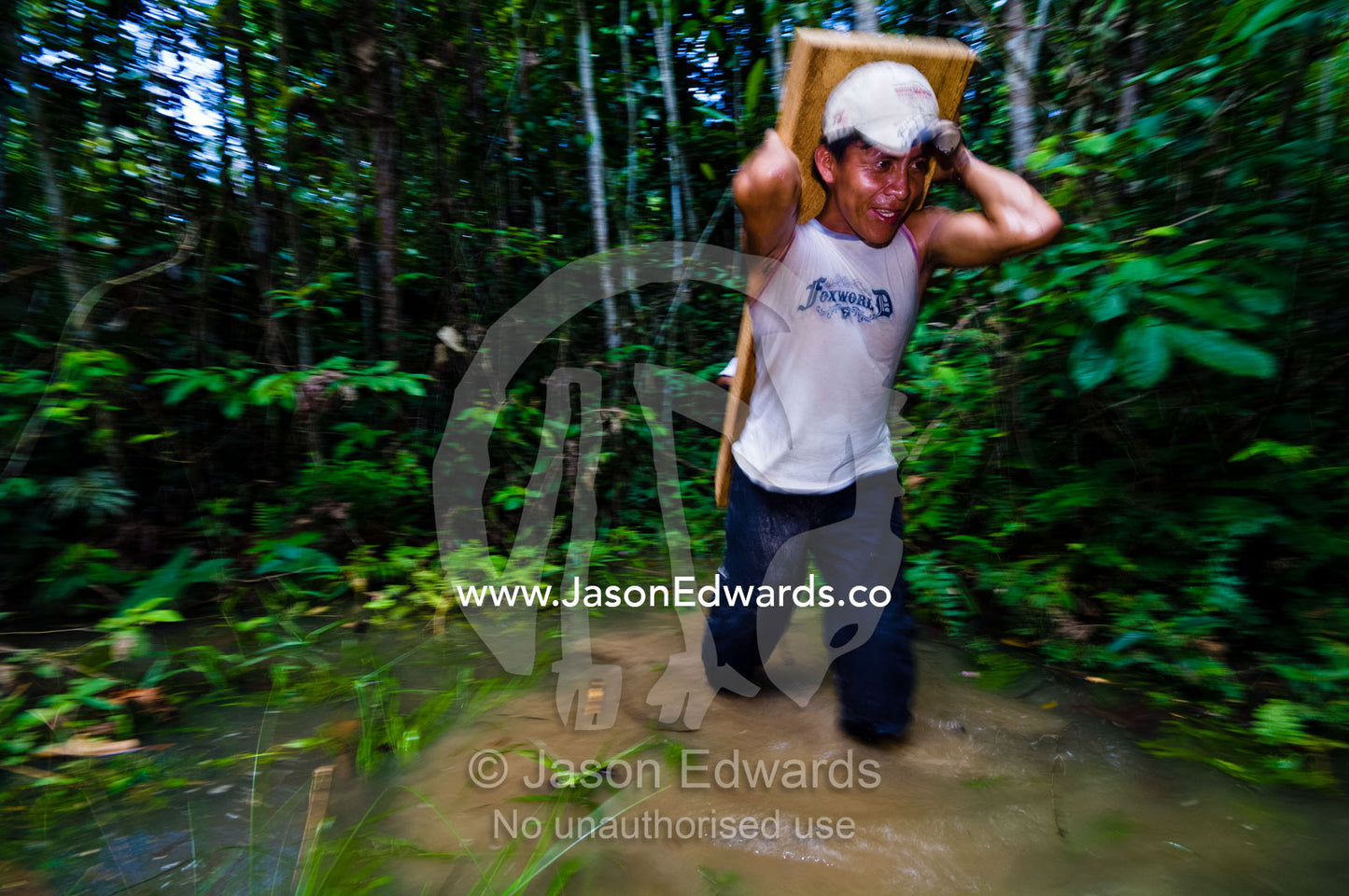 A laborer carries a log from a tree felled in the Amazon rainforest for transportation to a mill. Amazon Basin, Loreto Region, Maynas Province, Peru.