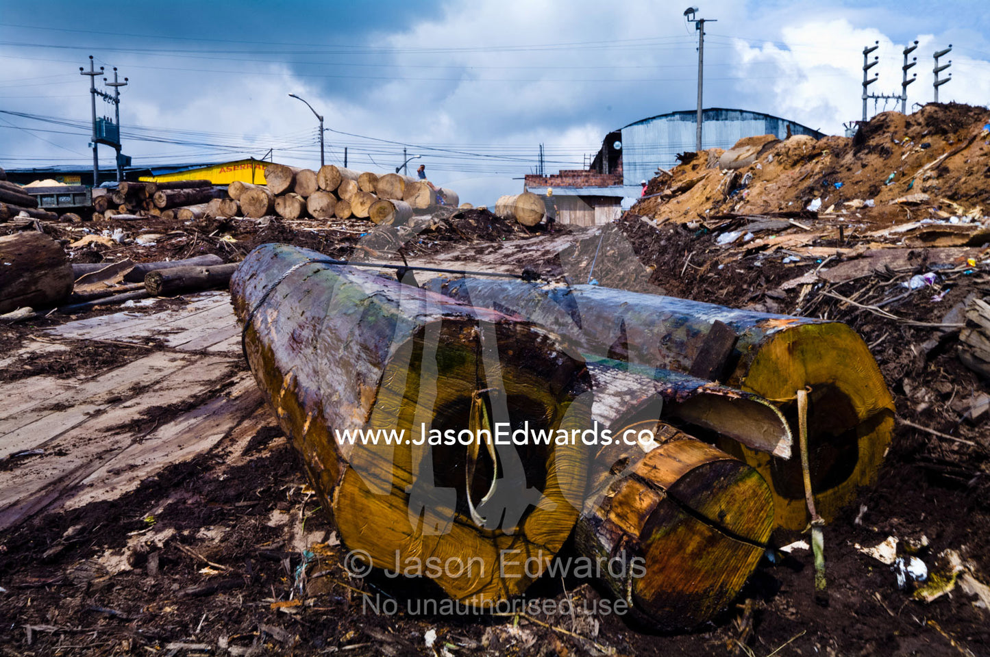 Logs cut from the Amazon rainforest pulled from a barge using steel cables at a lumber mill. Puerto Masusa, Iquitos, Amazon Basin, Loreto Region, Maynas Province, Peru.