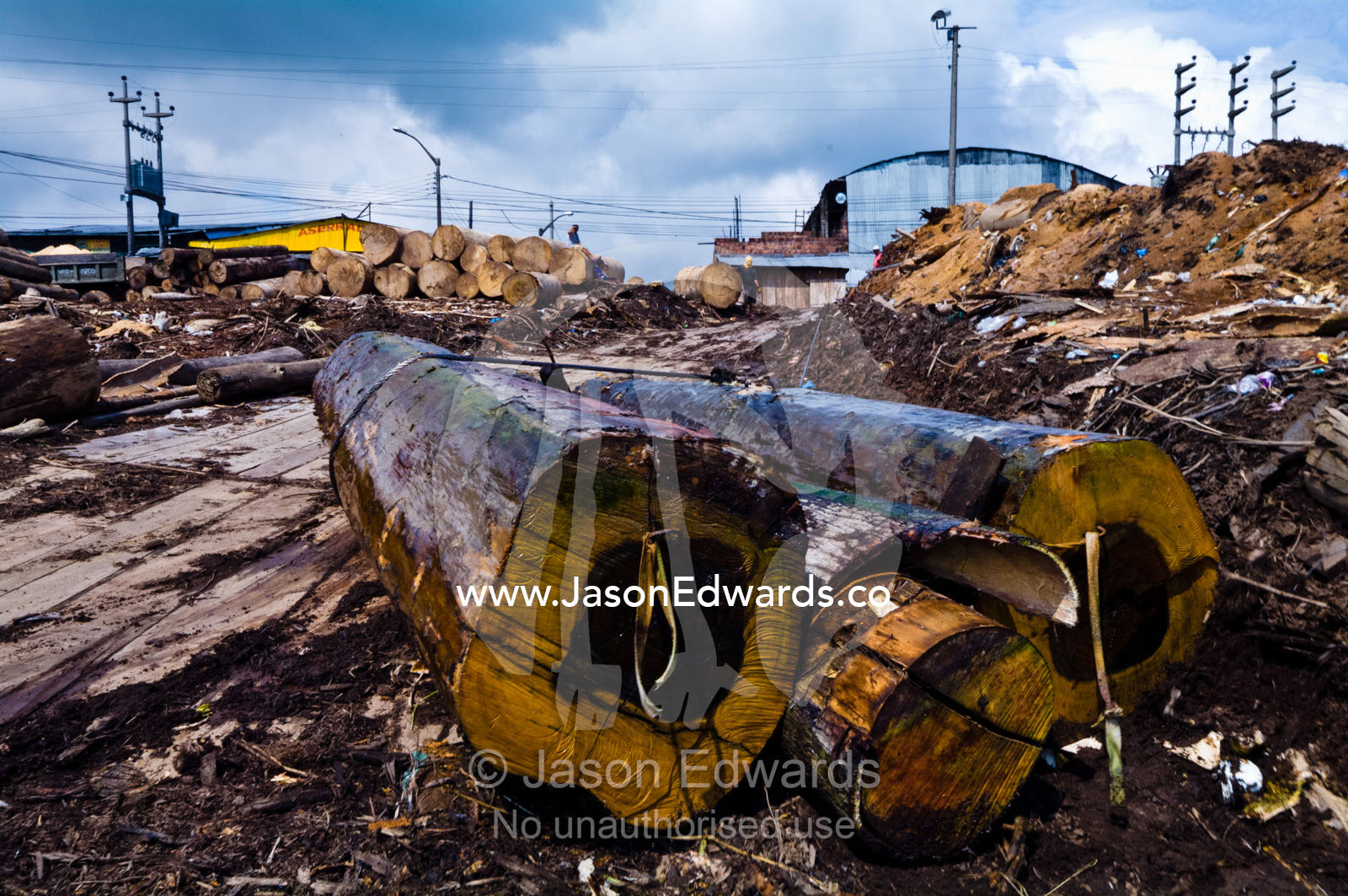 Logs cut from the Amazon rainforest pulled from a barge using steel cables at a lumber mill. Puerto Masusa, Iquitos, Amazon Basin, Loreto Region, Maynas Province, Peru.