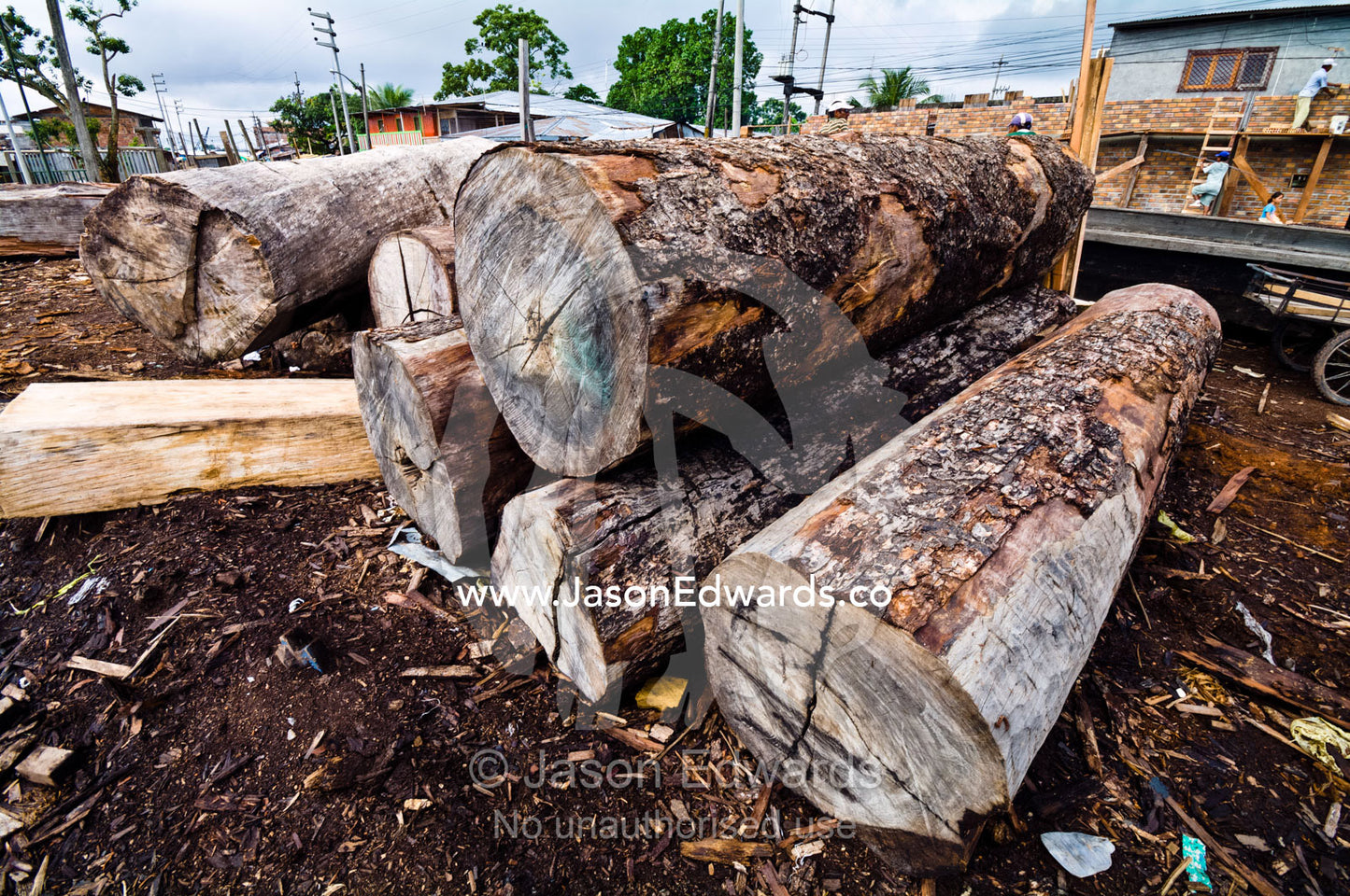 Logs cut from the Amazon rainforest waiting to be processed in a logging mill. Puerto Masusa, Iquitos, Amazon Basin, Loreto Region, Maynas Province, Peru.