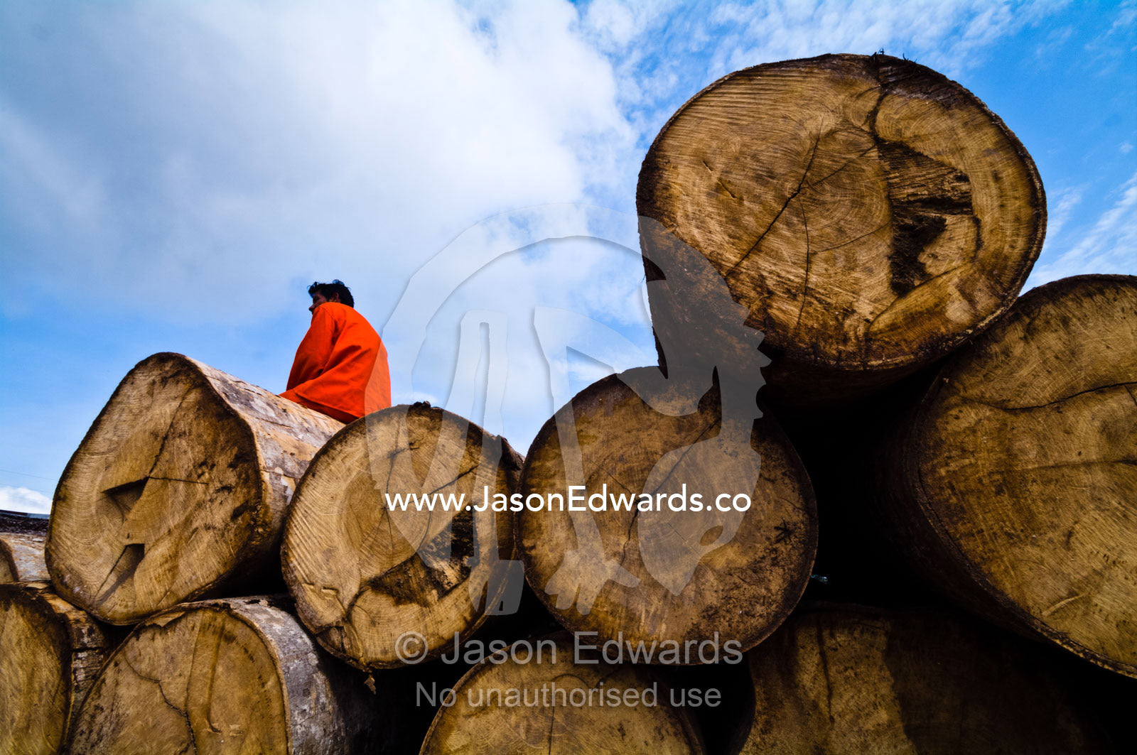 A logging mill laborer resting on top of a pile of logs cut from the Amazon rainforest. Puerto Masusa, Iquitos, Amazon Basin, Loreto Region, Maynas Province, Peru.