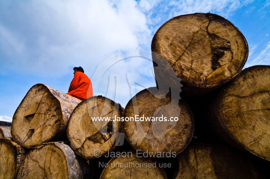 A logging mill laborer resting on top of a pile of logs cut from the Amazon rainforest. Puerto Masusa, Iquitos, Amazon Basin, Loreto Region, Maynas Province, Peru.