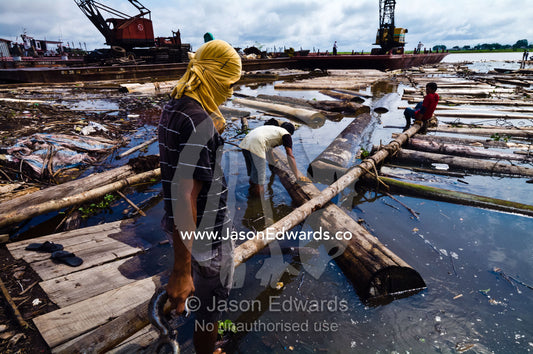 Laborers create a makeshift ramp to unload timber from a barge for processing. Puerto Masusa, Iquitos, Amazon River, Rio Amazonas, Amazon Basin, Loreto Region, Maynas Province, Peru.
