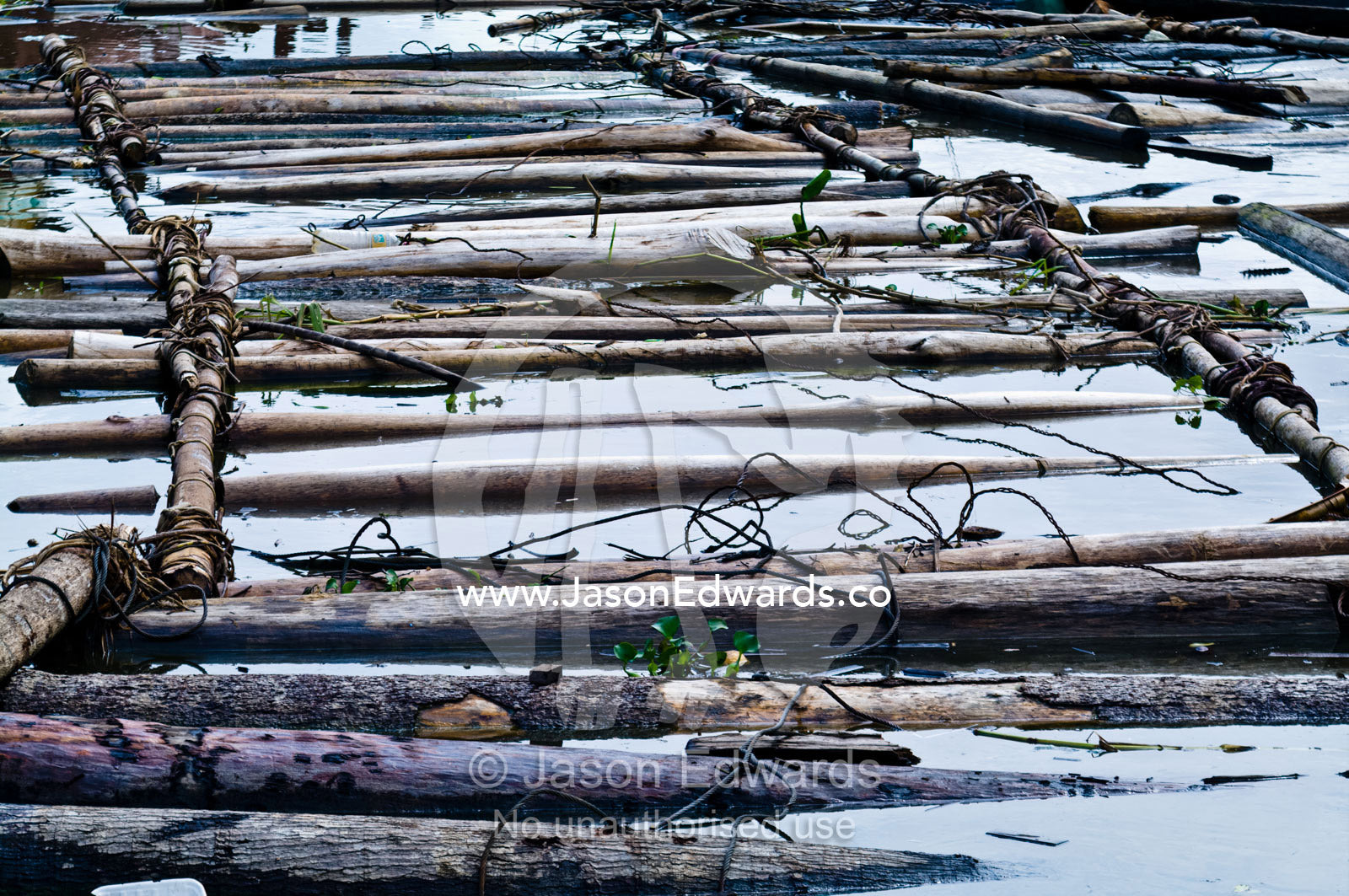Steel cables and logs lashed together with vines form a makeshift floating ramp to unload timber. Puerto Masusa, Iquitos, Amazon River, Rio Amazonas, Amazon Basin, Loreto Region, Maynas Province, Peru.