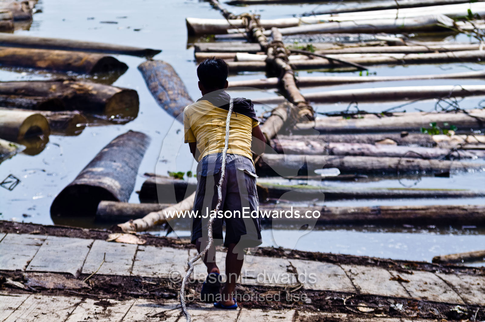 A laborer tows a heavy steel cable to the shore of the Amazon River to pull logs from a barge. Puerto Masusa, Iquitos, Amazon River, Rio Amazonas, Amazon Basin, Loreto Region, Maynas Province, Peru.