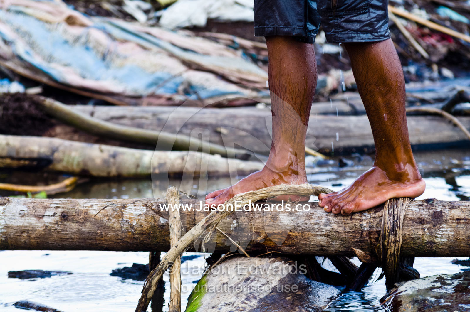 A laborer walks across logs lashed together with vines to form a ramp at a logging mill. Puerto Masusa, Iquitos, Amazon River, Rio Amazonas, Amazon Basin, Loreto Region, Maynas Province, Peru.