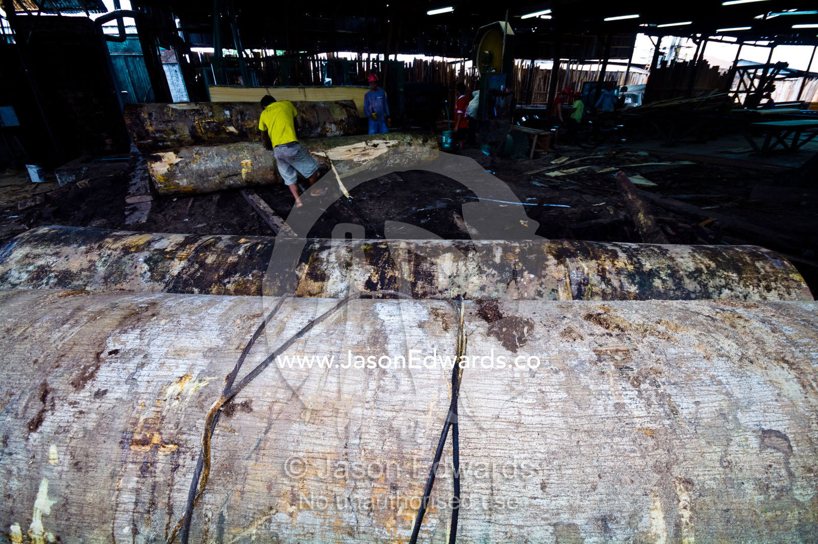 Steel cables pull logs cut from the Amazon rainforest into a logging mill for processing. Puerto Masusa, Iquitos, Amazon Basin, Loreto Region, Maynas Province, Peru.