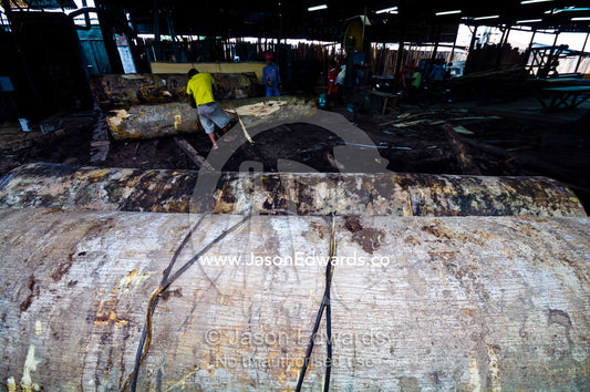 Steel cables pull logs cut from the Amazon rainforest into a logging mill for processing. Puerto Masusa, Iquitos, Amazon Basin, Loreto Region, Maynas Province, Peru.