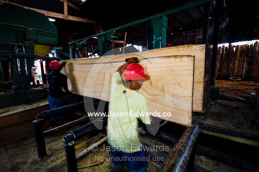 Laborers remove timber planks from a band saw cutting up an Amazon rainforest tree in a logging mill. Puerto Masusa, Iquitos, Amazon Basin, Loreto Region, Maynas Province, Peru.