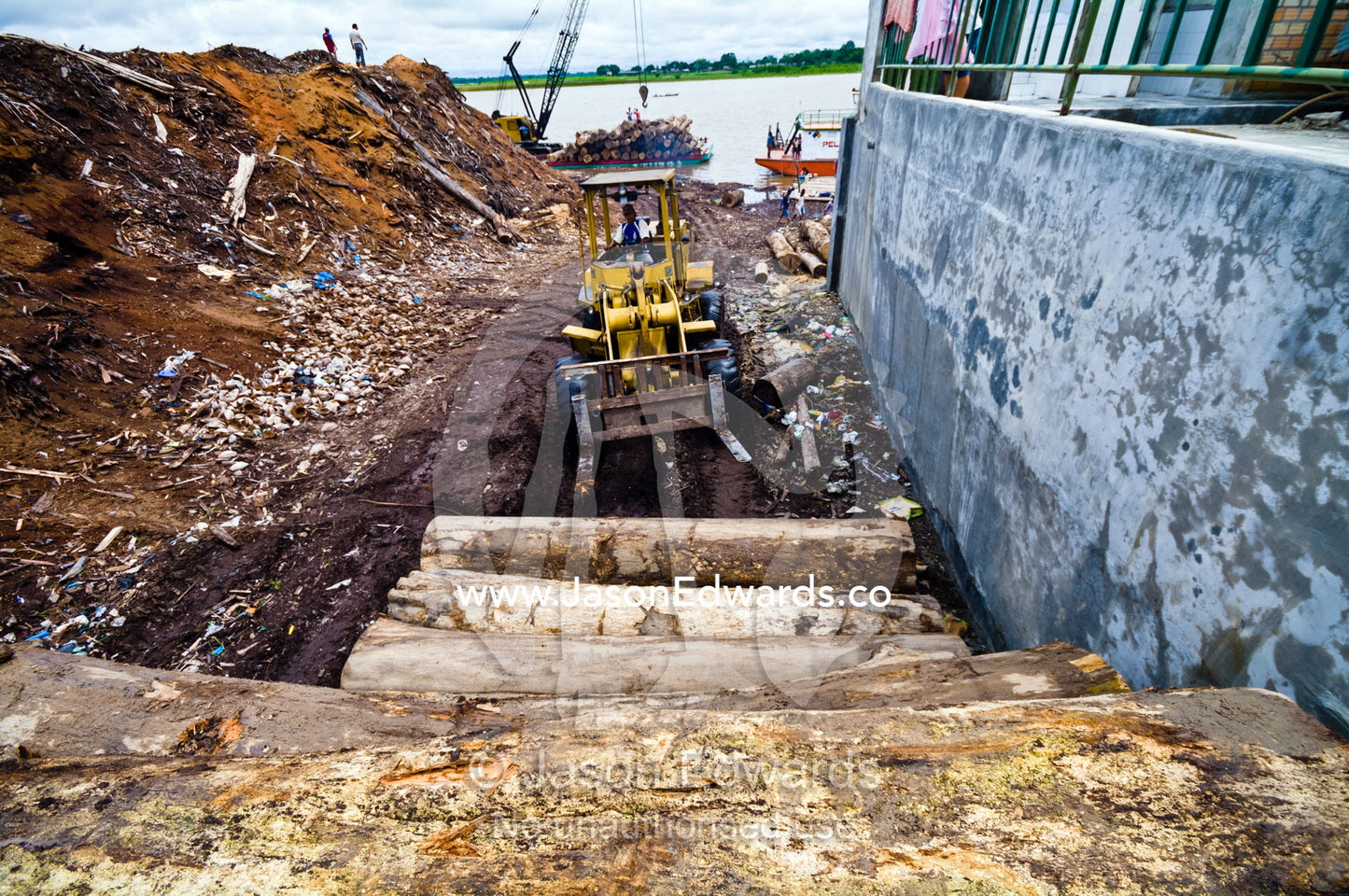 An articulated loader stacks logs cut from rainforest trees to be processed in a logging mill. Puerto Masusa, Iquitos, Amazon River, Rio Amazonas, Amazon Basin, Loreto Region, Maynas Province, Peru.