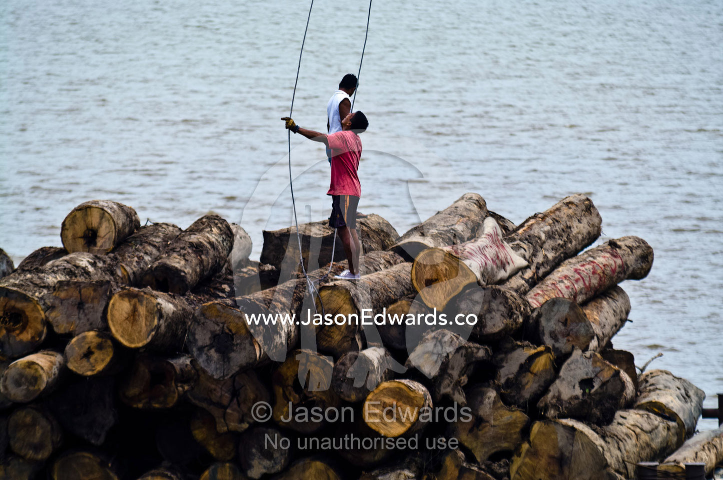 A laborer positions steel cables from a barge crane to unload logs for processing in a logging mill. Puerto Masusa, Iquitos, Amazon River, Rio Amazonas, Amazon Basin, Loreto Region, Maynas Province, Peru.