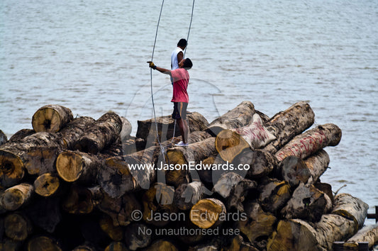 A laborer positions steel cables from a barge crane to unload logs for processing in a logging mill. Puerto Masusa, Iquitos, Amazon River, Rio Amazonas, Amazon Basin, Loreto Region, Maynas Province, Peru.