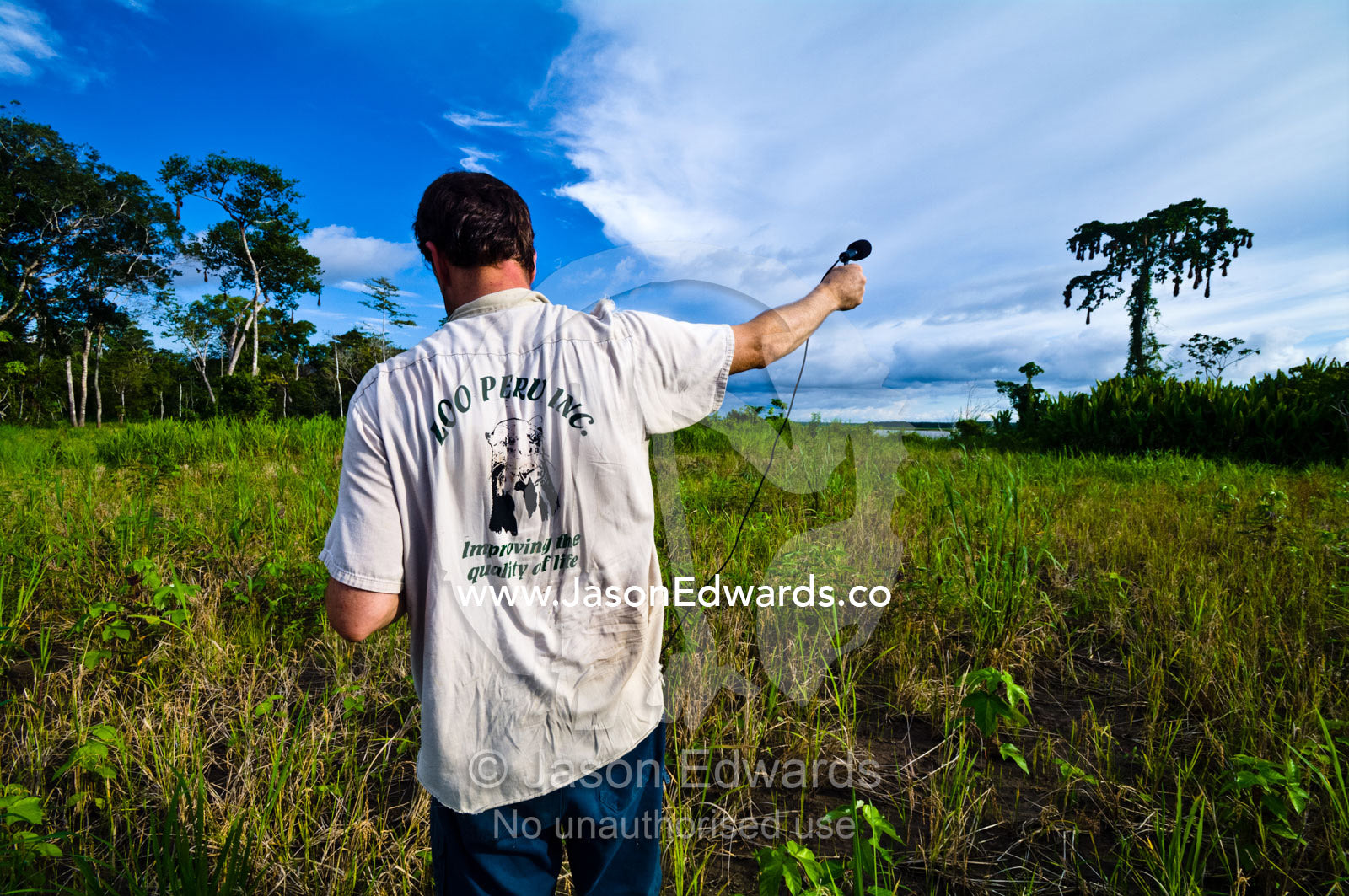 A wildlife conservationist records the calls of a colony of yellow rumped cacique. Pacaya Samiria National Reserve, Reserva Nacional Pacaya Samiria, Amazon River, Maranon River, Ucayali River, Rio Amazonas, Rio Maranon, Rio Ucayali, Loreto Region, Maynas Province, Amazon Basin, Peru.