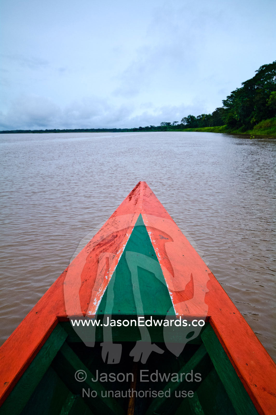The red bow of a water taxi travels along the river shore next to the rainforest. Pacaya-Samiria National Reserve, Reserva Nacional Pacaya - Samiria, Maranon River, Rio Maranon, Loreto Region, Maynas Province, Amazon Basin, Peru.