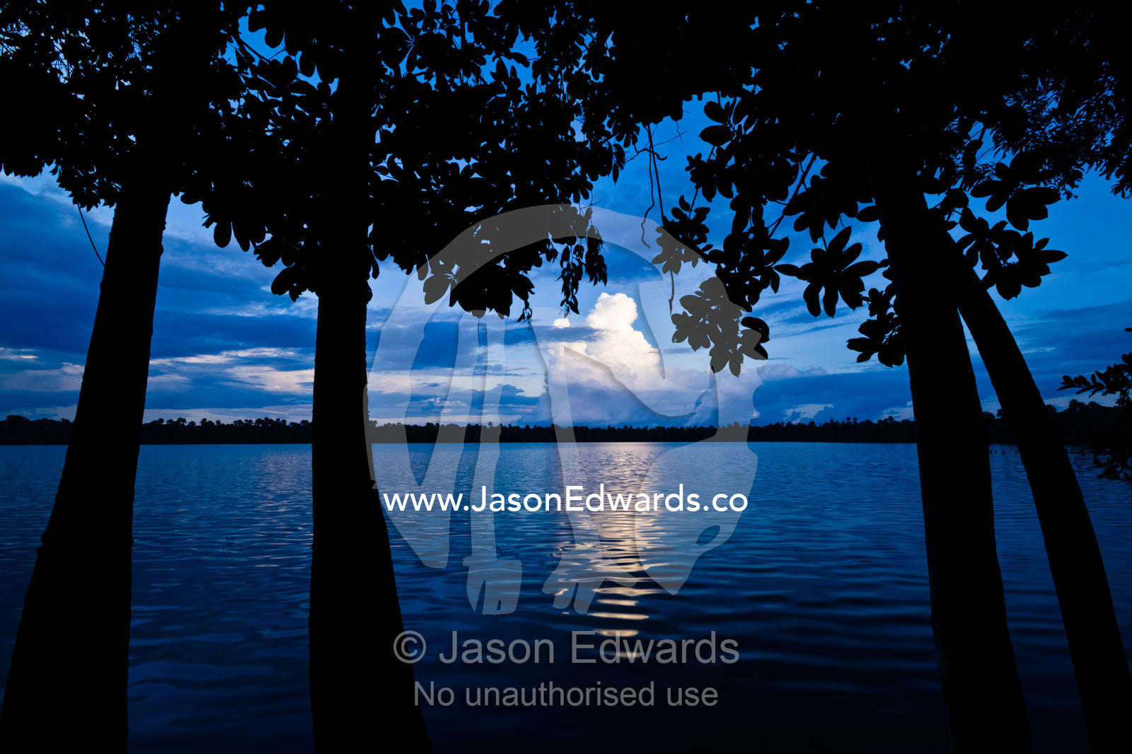 Silhouetted trees lining the shore of an Quistococha Lake as darkness falls over the rainforest. Quistococha Lake, Lago de Quistococha, Parque de Quistococha, Quistococha Zoo, Iquitos, Amazon Basin, Loreto Region, Maynas Province, Peru.