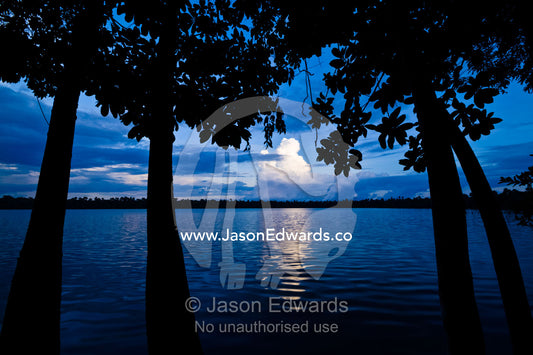 Silhouetted trees lining the shore of an Quistococha Lake as darkness falls over the rainforest. Quistococha Lake, Lago de Quistococha, Parque de Quistococha, Quistococha Zoo, Iquitos, Amazon Basin, Loreto Region, Maynas Province, Peru.
