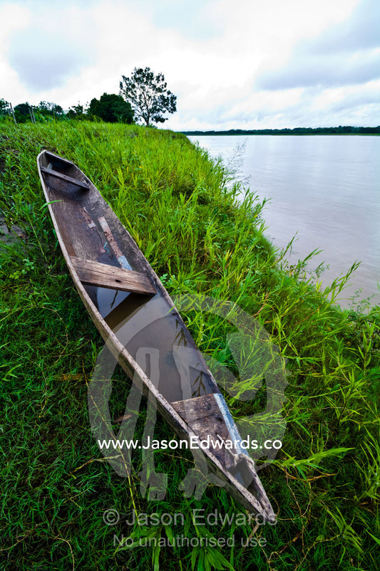 A handmade wooden canoe filled with water resting on the grassy shore of a river. Pacaya-Samiria Reserve, Reserva Nacional Pacaya - Samiria, Loreto Region, Maynas Province, Amazon Basin, Peru.