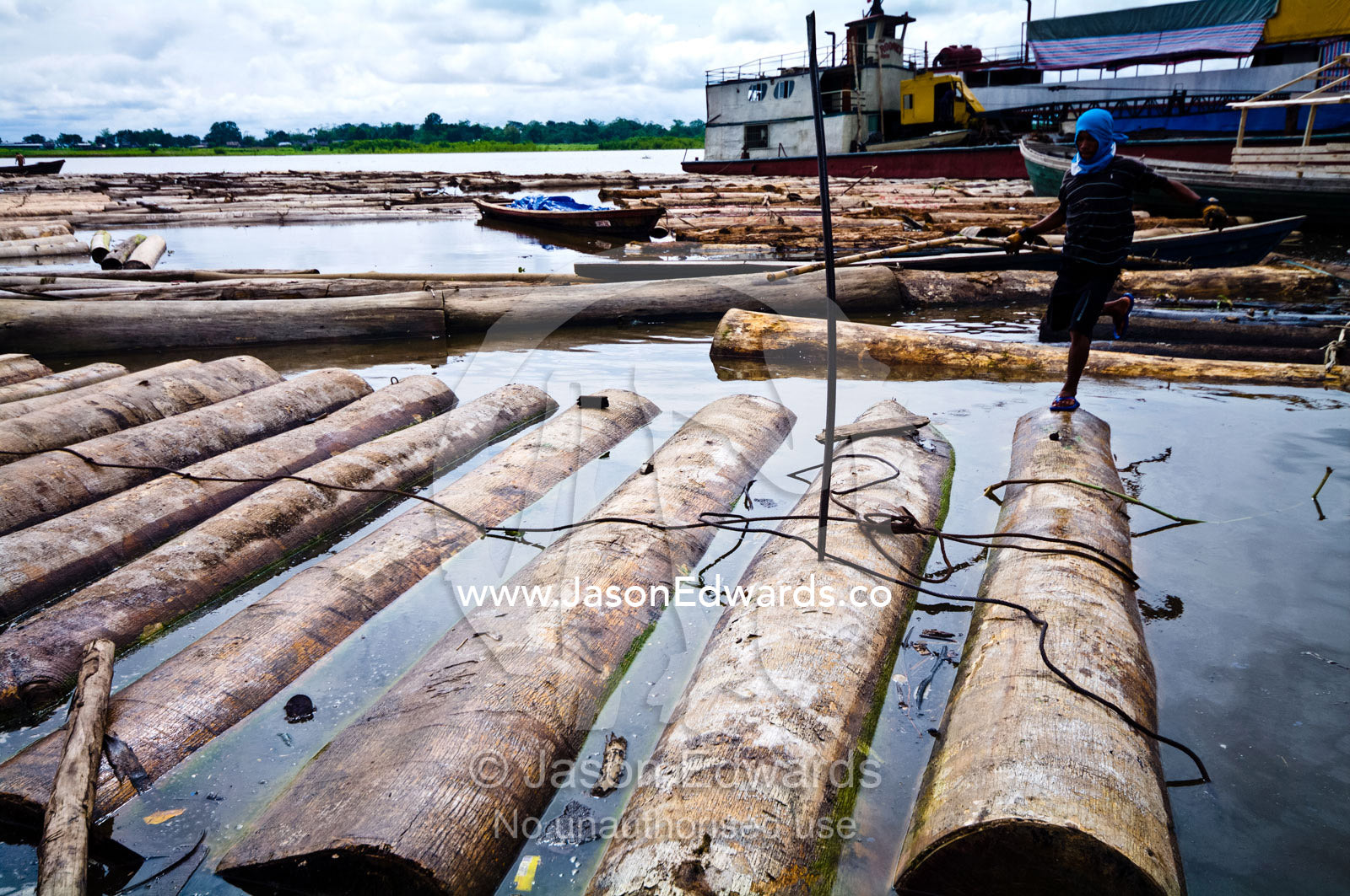 A logging mill laborer leaps across a floating raft of logs on the shore of the Amazon River. Puerto Masusa, Iquitos, Amazon River, Rio Amazonas, Amazon Basin, Loreto Region, Maynas Province, Peru.