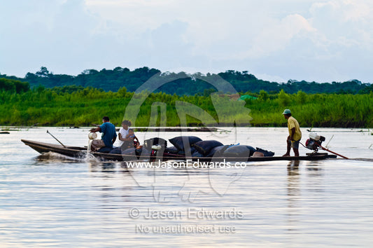 A villager bails water from a heavily laden water taxi carrying goods and a family to market. Pacaya-Samiria National Reserve, Reserva Nacional Pacaya - Samiria, Loreto Region, Maynas Province, Amazon Basin, Peru.