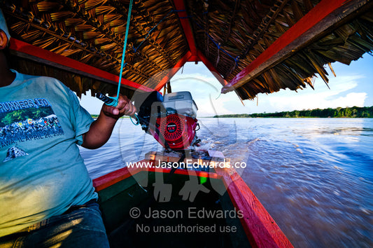 A water taxi driver steers his outboard motor along a river at sunset past a rainforest riverbank. Pacaya-Samiria National Reserve, Reserva Nacional Pacaya - Samiria, Loreto Region, Maynas Province, Amazon Basin, Peru.