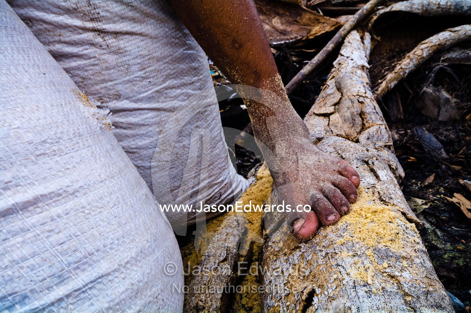 The foot of a boy collecting sawdust waste in plastic bags to spread on the dirt floor of his family home. Puerto Masusa, Iquitos, Amazon Basin, Loreto Region, Maynas Province, Peru.