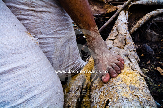 The foot of a boy collecting sawdust waste in plastic bags to spread on the dirt floor of his family home. Puerto Masusa, Iquitos, Amazon Basin, Loreto Region, Maynas Province, Peru.