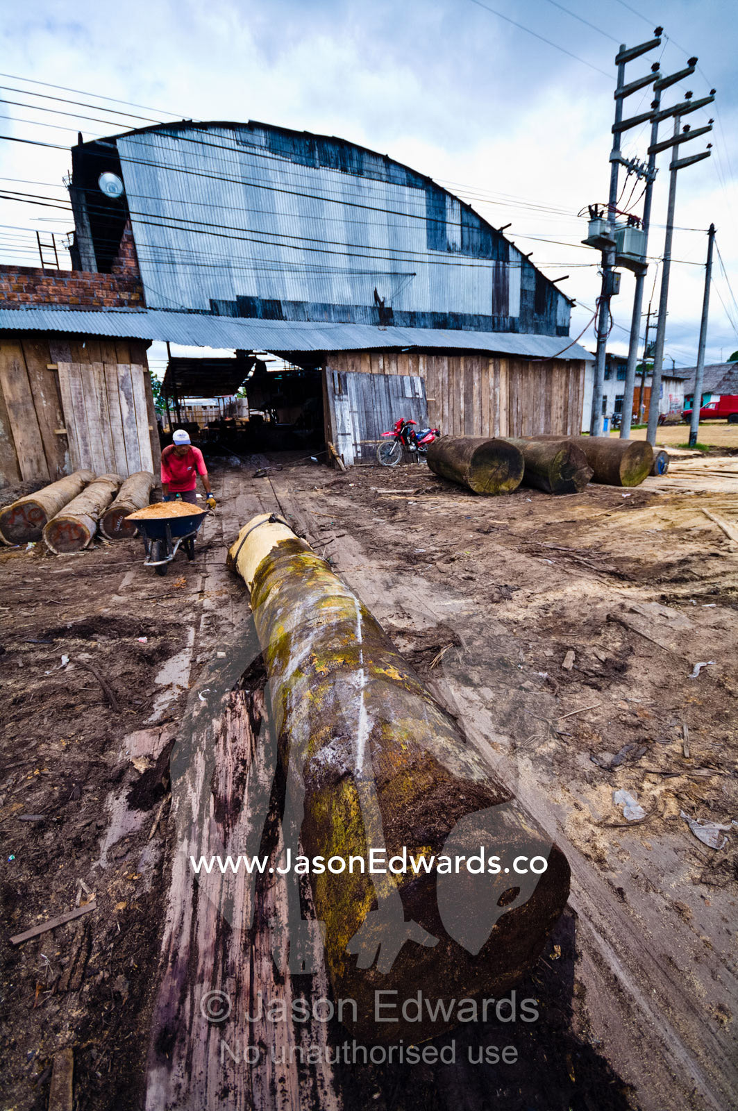 A winch drags a rainforest tree log with a steel cable into a logging mill for processing. Puerto Masusa, Iquitos, Amazon Basin, Loreto Region, Maynas Province, Peru.