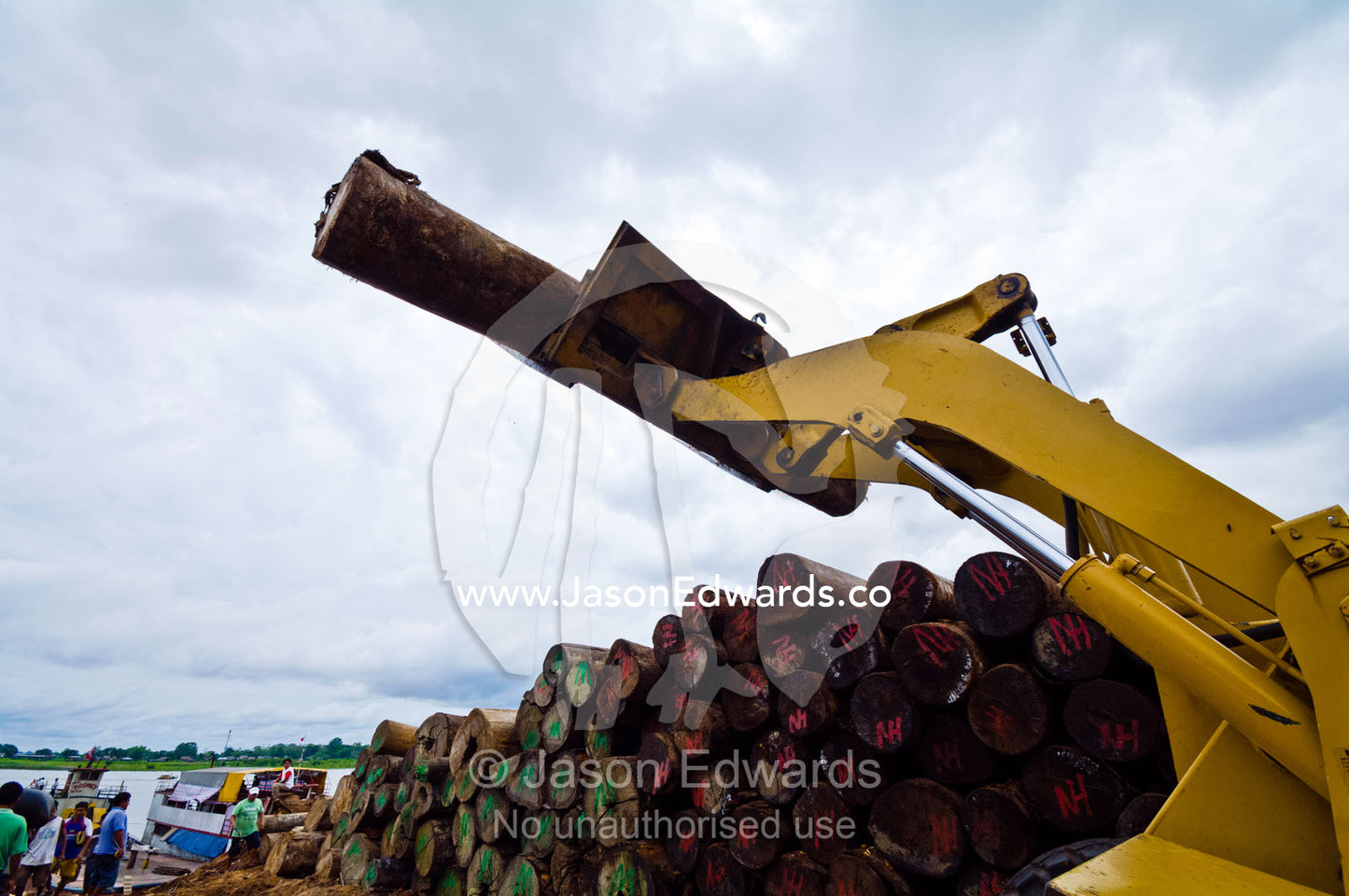 A telehandler stacking logs from rainforest trees into a pile for processing at a logging mill. Puerto Masusa, Iquitos, Amazon Basin, Loreto Region, Maynas Province, Peru.