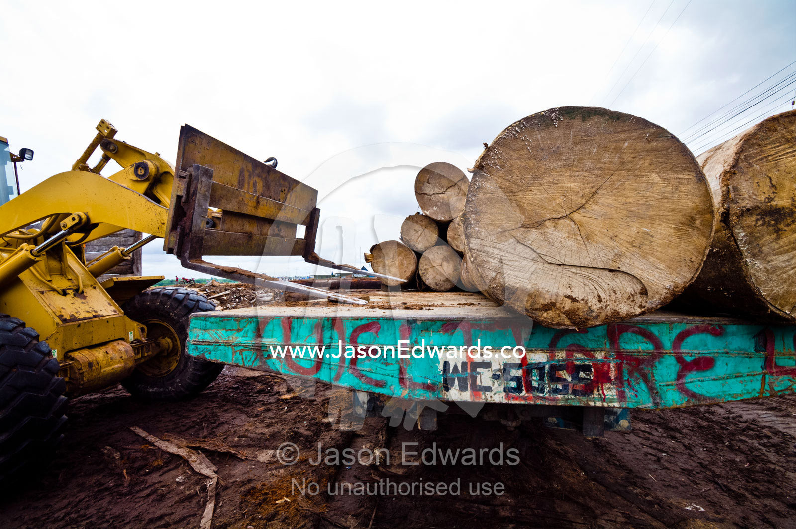 A telehandler loads logs from rainforest trees onto the tray of a truck for transport. Puerto Masusa, Iquitos, Amazon Basin, Loreto Region, Maynas Province, Peru.