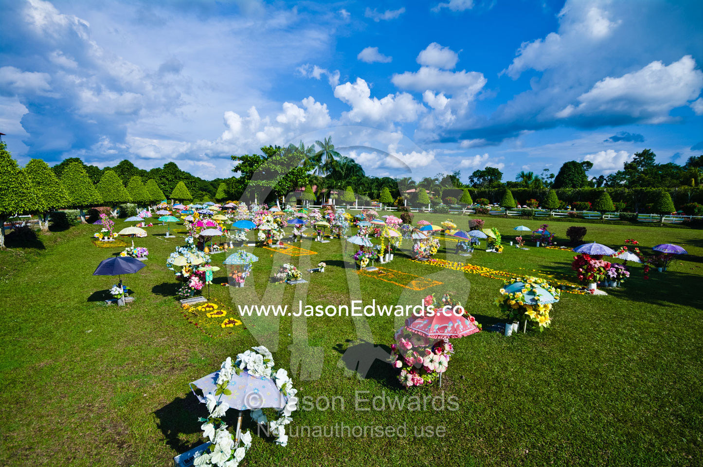 Colorful umbrellas, flower bouquets and wreaths shade pet graves in a cemetery. Iquitos, Amazon Basin, Loreto Region, Maynas Province, Peru.