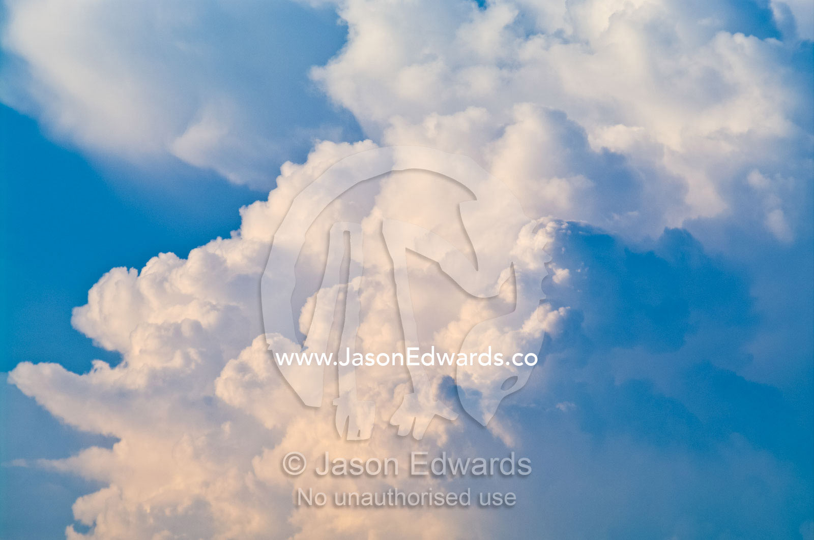 A billowing thunderhead storm forms over a tropical rainforest canopy. Pacaya Samiria Reserve, Reserva Nacional Pacaya Samiria, Maranon River, Rio Maranon, Loreto Region, Maynas Province, Amazon Basin, Peru.
