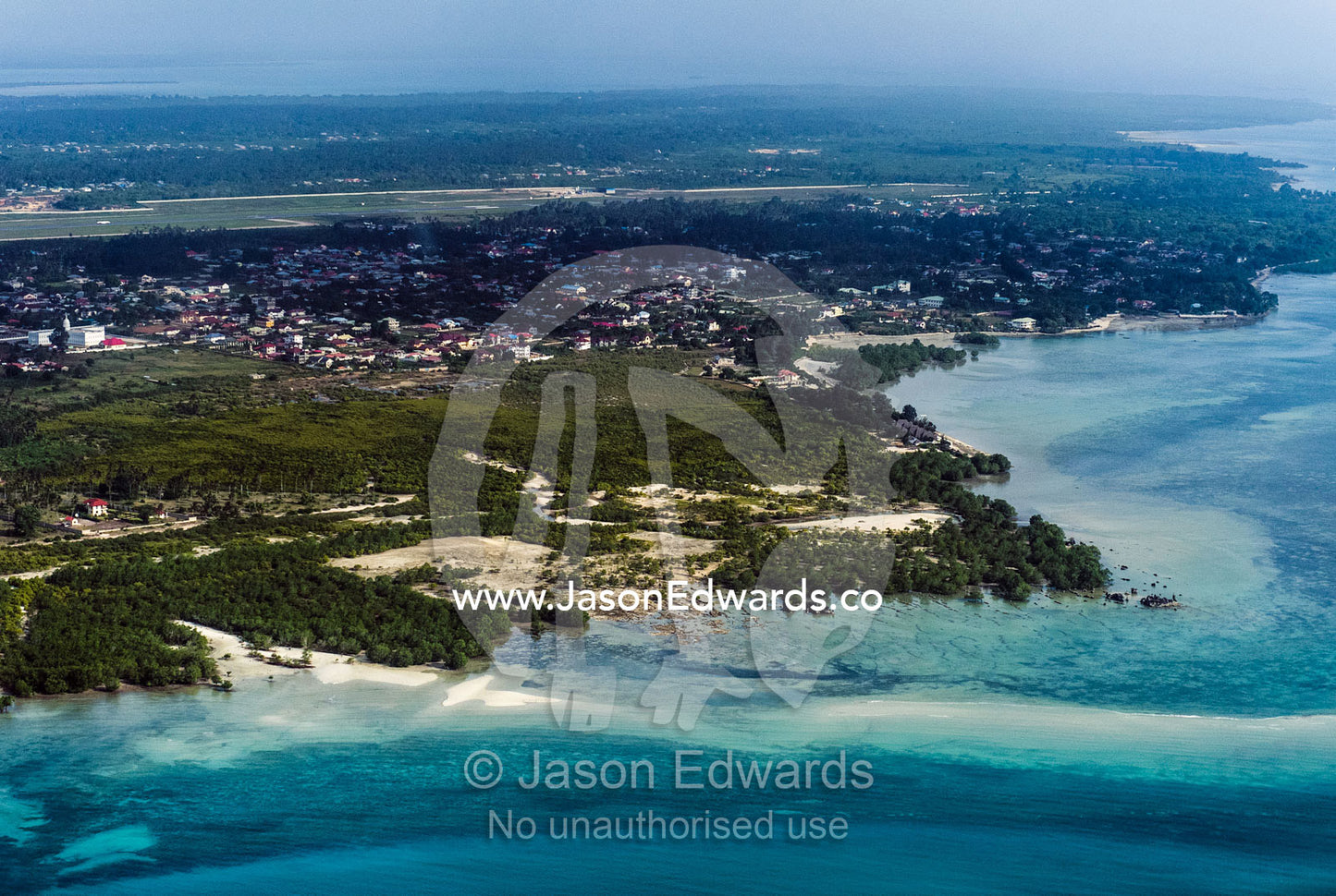 Turquoise seas lapping the forested shoreline of Zanzibar. Zanzibar Town, Dar es Salaam Bay, Zanzibar, Tanzania.