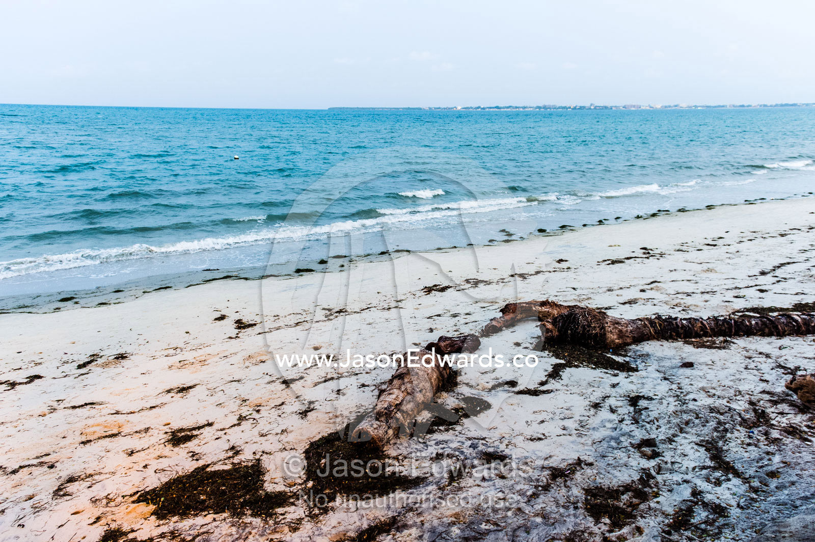 Driftwood, seaweed and debris washed onto an ocean beach after sunset. Dar es Salaam, Kawe, Tanzania.