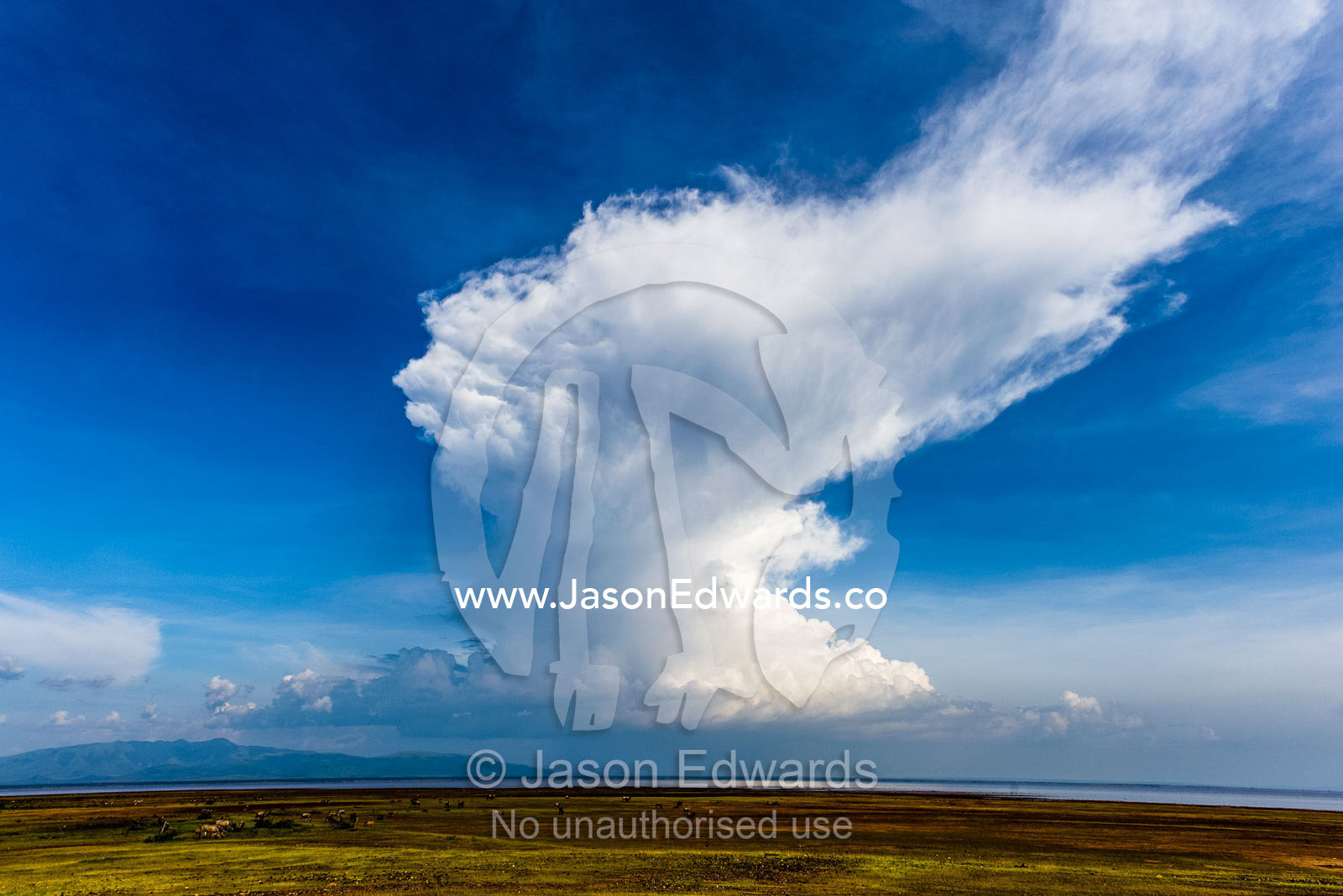 An enormous pillar of cloud billows into the sky over a soda lake and grazing animals. Lake Manyara National Park, Arusha Region, Tanzania.