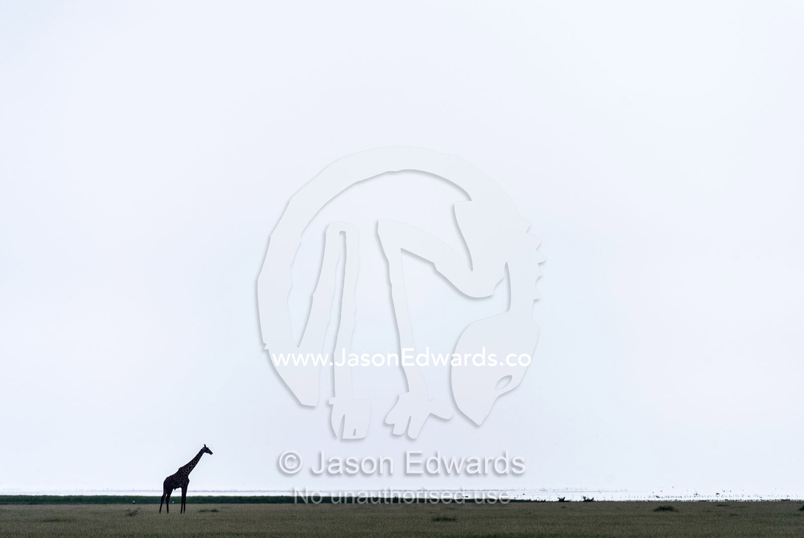 A solitary giraffe silhouette on the vast floodplain of a soda lake at midday. Lake Manyara National Park, Arusha Region, Tanzania.
