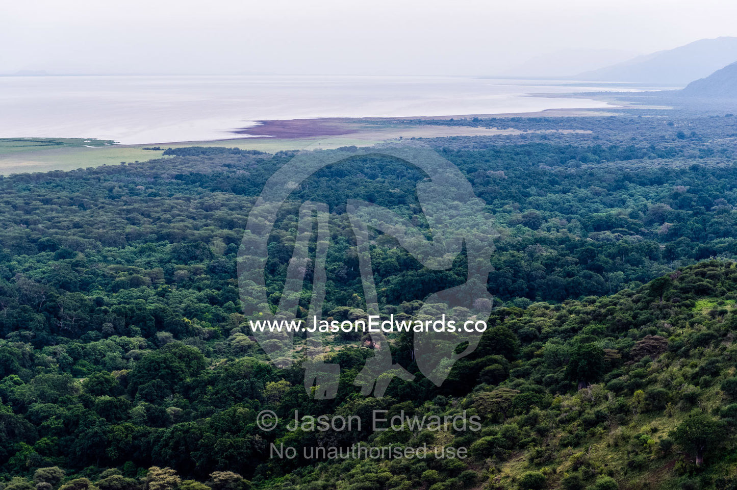 The canopy of an evergreen forest shrouds an escarpment and soda lake floodplain. Lake Manyara National Park, Arusha Region, Tanzania, Africa.