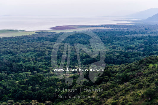 The canopy of an evergreen forest shrouds an escarpment and soda lake floodplain. Lake Manyara National Park, Arusha Region, Tanzania, Africa.
