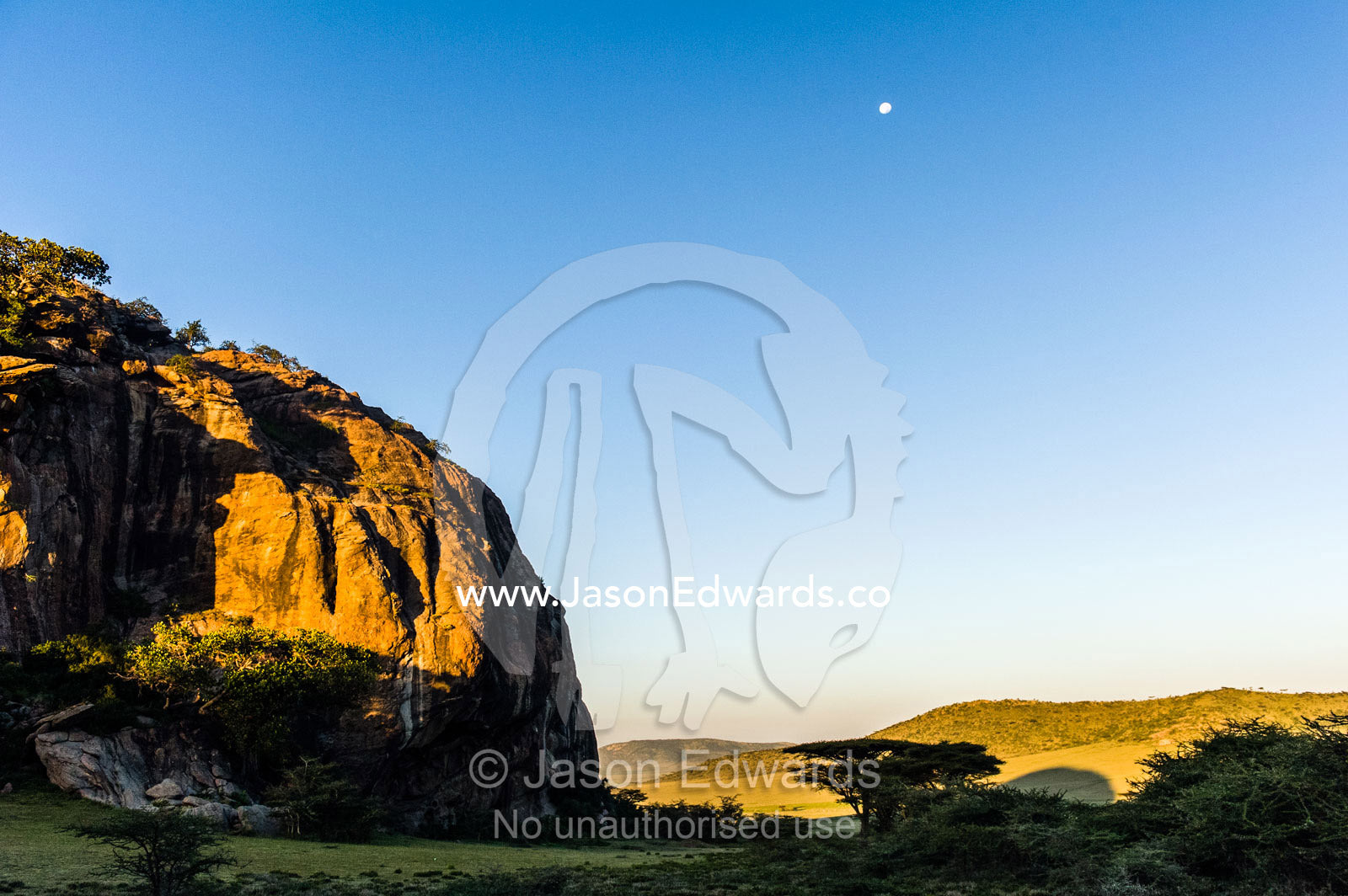 Moonrise at dawn over a rocky outcrop on the savannah plain. Arusha, Nasera Rock, Angata Kiti Valley, Ngorongoro Conservation Area, Crater Highlands, Tanzania.
