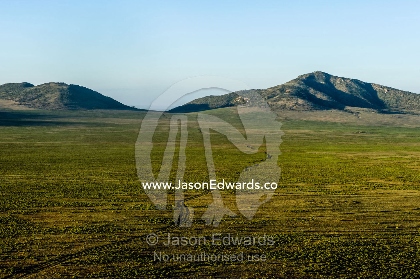 Vehicle tracks winding their across a vast savannah valley floor toward distant mountains. Arusha, Nasera Rock, Angata Kiti Valley, Ngorongoro Conservation Area, Crater Highlands, Tanzania.