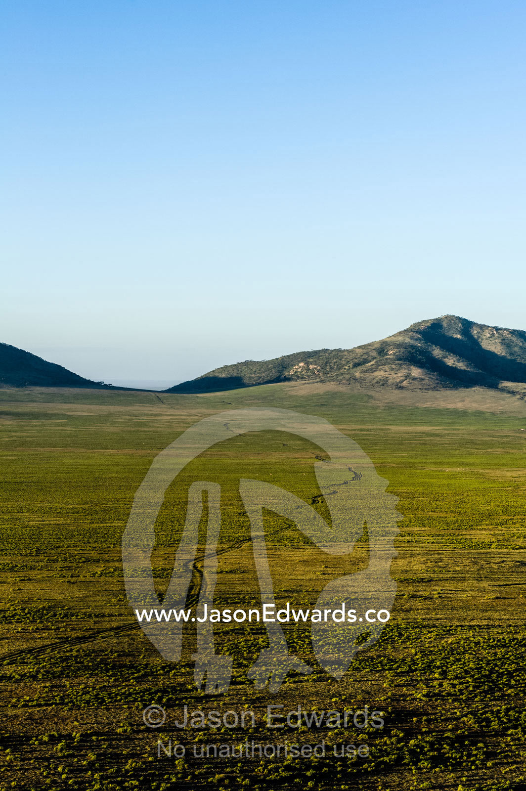 Vehicle tracks winding their across a vast savannah valley floor toward distant mountains. Arusha, Nasera Rock, Angata Kiti Valley, Ngorongoro Conservation Area, Crater Highlands, Tanzania.