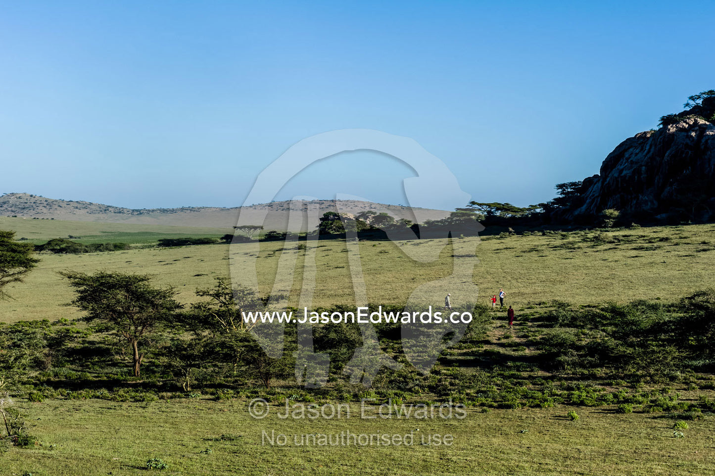 Tourists hiking on the savannah plain beneath rocky outcrops. Arusha, Nasera Rock, Angata Kiti Valley, Ngorongoro Conservation Area, Crater Highlands, Tanzania.