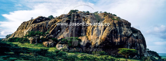 An enormous rocky outcrop rises from the savannah plain like a monolith. Arusha, Nasera Rock, Angata Kiti Valley, Ngorongoro Conservation Area, Crater Highlands, Tanzania.
