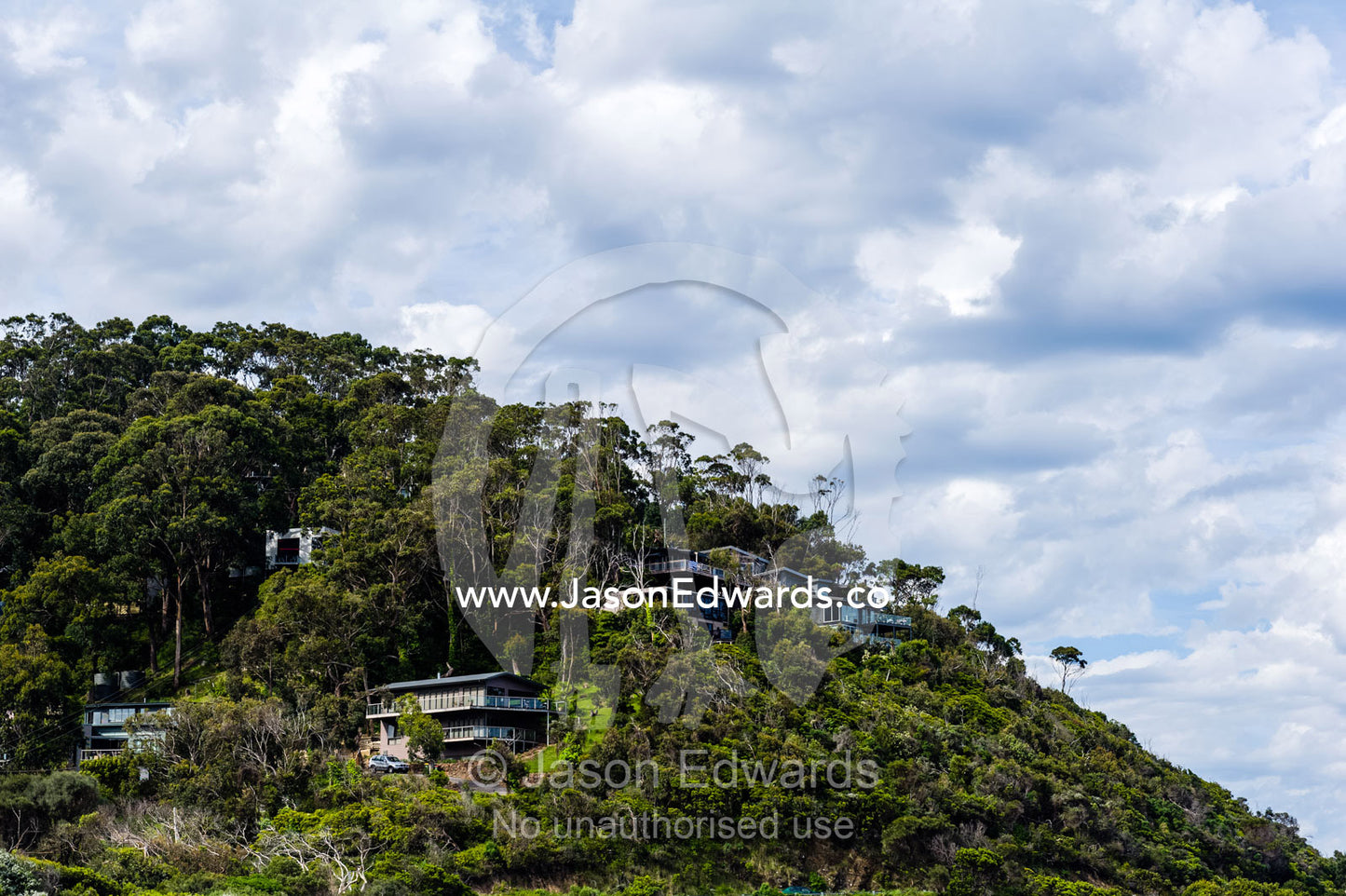 Holiday homes nestled amongst a forest canopy on a coastal hilltop. Wye River, Great Ocean Road, Victoria, Australia.